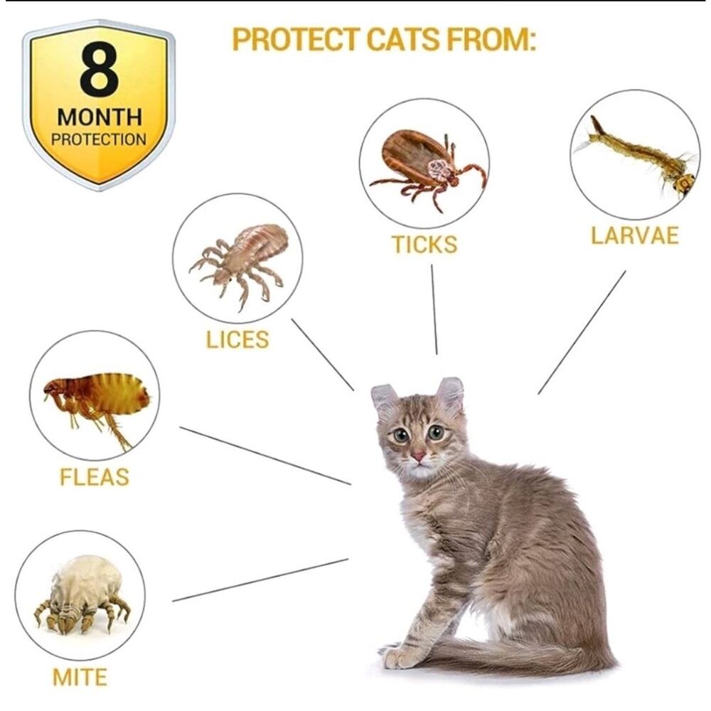 Cat Collar 8 Month Protection waterproof allergy free safe collar